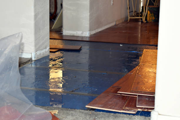 Professional Sewage Cleanup technician working in Burton, OH